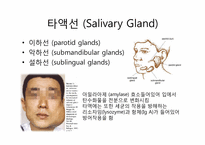 소화기계 레포트-6