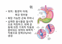 소화기계 레포트-12