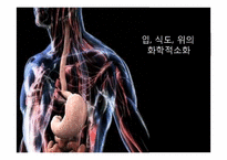소화기계 레포트-15