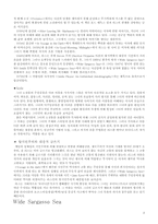 진 리이스(Jean Rhys) Wide Sargasso Sea(카리브해의 정사)-2