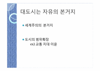 짐멜의 모더니티 -2.대도시와 정신적인 삶-14