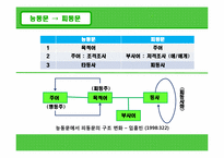 [국어문법론] 피동의 범위-6