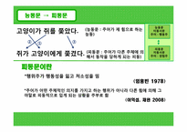 [국어문법론] 피동의 범위-7