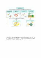 장기이식돼지 생산 원리-6