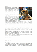 국내 애견 산업의 SWOT 분석, 국내 애견 산업의 STP 분석, 국내 애견 시장 및 산업 현황-2
