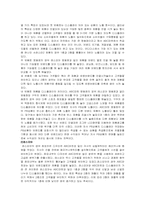 ABC마트 마케팅사례분석과 인터넷마케팅전략방안-10