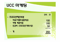 제주도허브관광사업 사업게획서및 마케팅기획서-13