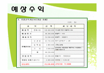 제주도허브관광사업 사업게획서및 마케팅기획서-16