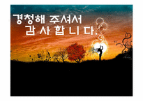 제주도허브관광사업 사업게획서및 마케팅기획서-17