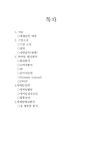 17차 마케팅전략 4p.STP,SWOT및 향후전망-2