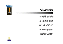 분양마케팅전략제안서-3