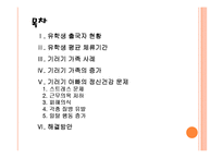 [가족복지] 기러기 가족의 증가에 따른 문제점과 해결방안 PPT자료-2