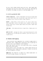 빕스의 마케팅 전략에 관한 조사-16