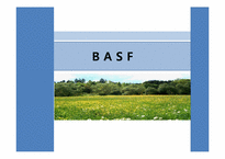 BASF 바스프의 국내직접투자 기업사례연구-1