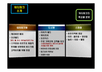 [클럽리조트] 국내 워터 파크 사례-7