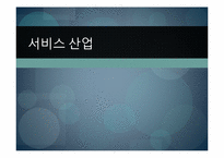 서비스 산업의 발전방향, 전망-1