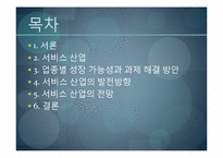 서비스 산업의 발전방향, 전망-2
