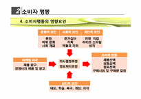 [고객관리론] 소비자 행동과 마케팅 전략-7