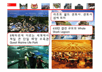 싱가포르의 국제경제 환경 -싱가포르의 주요산업과 FTA를 중심으로-17