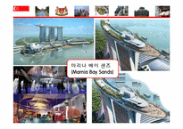 싱가포르의 국제경제 환경 -싱가포르의 주요산업과 FTA를 중심으로-18