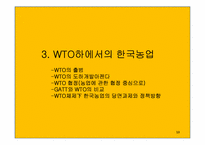 농산물 무역의 전개과정-13