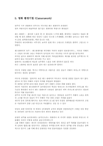 독일 영화 `포미니츠` 영화분석-19