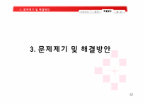 북아일랜드 분쟁 분석 -종교적 측면-12