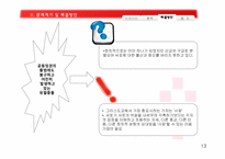 북아일랜드 분쟁 분석 -종교적 측면-13