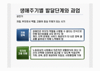 [장애인복지] 장애와 생애주기-13