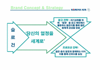 [광고기획론] 대한항공 브랜드 전략기획서-18