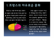 프랑스의 문화와 가족-3