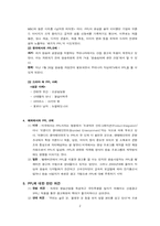 PPL 간접광고 레포트-2