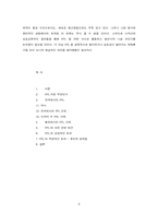 PPL 간접광고 레포트-4