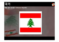 [아랍문화] 레바논 조사-3