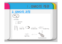 GMO의 유용성, 위해성, 각국 정책과 규제-6