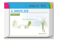 GMO의 유용성, 위해성, 각국 정책과 규제-7