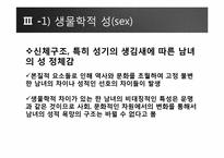 국제정치에서의 페미니즘과 젠더문제-14