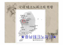 한국의 테크노 파크 문제점과 개선방안-6