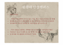한국의 테크노 파크 문제점과 개선방안-10