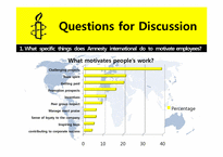 [조직행동] 엠네스티 인터내셔널(Amnesty International)-7