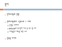 현대소비문화의 구성요소와 그 사례-2