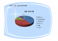 방송 산업 레포트-11