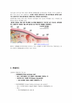 [국제경제] 중국 위안화 절상과 그에 따른 중국, 미국 및 우리나라에 대한 영향-3