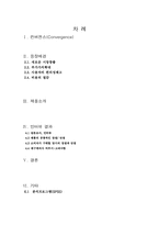 [소비자행동론] 소비자의 개념을 통한 컨버전스 제품의 장단점-2