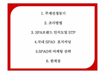 [마케팅공학] 국내 SPA 브랜드 SPAO의 Positioning-2