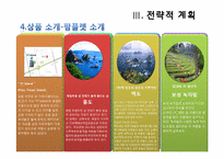 [여행사경영론] 여행사 창업 사업계획서-18