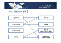 [물류산업론] 화장품 산업과 물류(아모레퍼시픽)-11