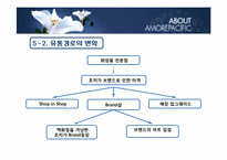 [물류산업론] 화장품 산업과 물류(아모레퍼시픽)-12