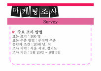 [마케팅조사] 미스터피자의 마케팅 조사-11