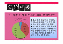 [마케팅조사] 미스터피자의 마케팅 조사-18